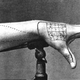 Illustration for article titled Self-Surgery: The Correct Way to do Human Experimentation